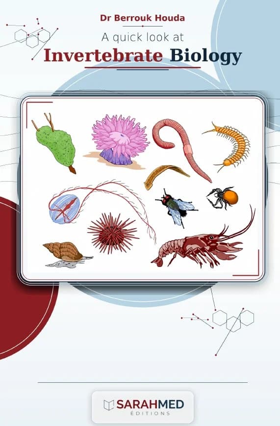 A quick look at Invertebrate Biology